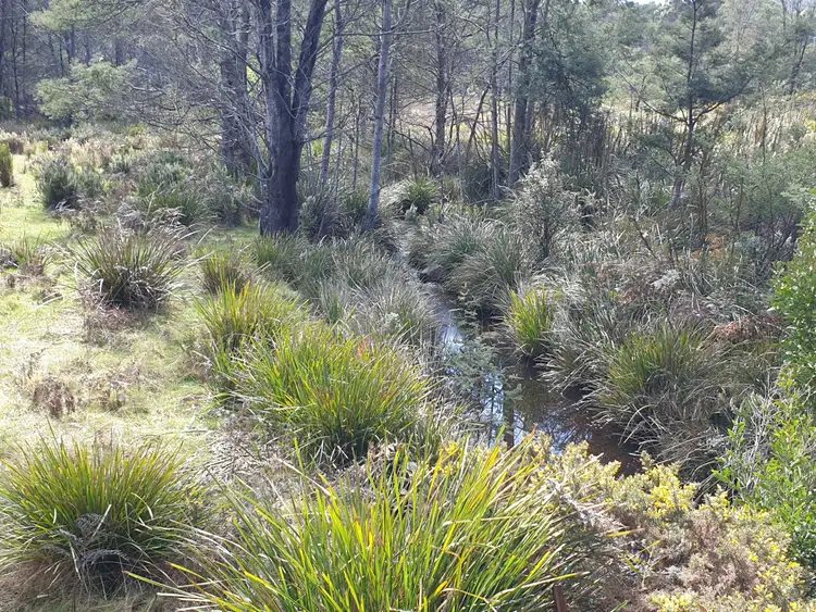 Fifth view of Homely land listing, PID 275515 Irish Town Road, St Marys TAS 7215