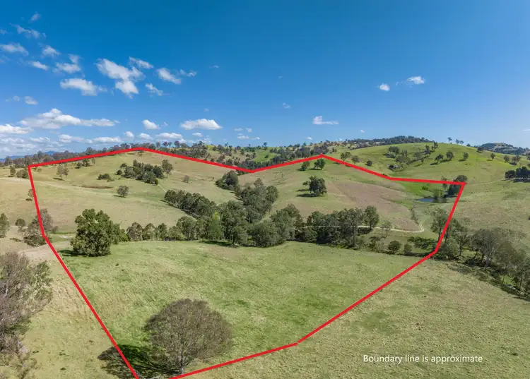 Third view of Homely rural property listing, 293 Coopers Gully Road, Bega NSW 2550