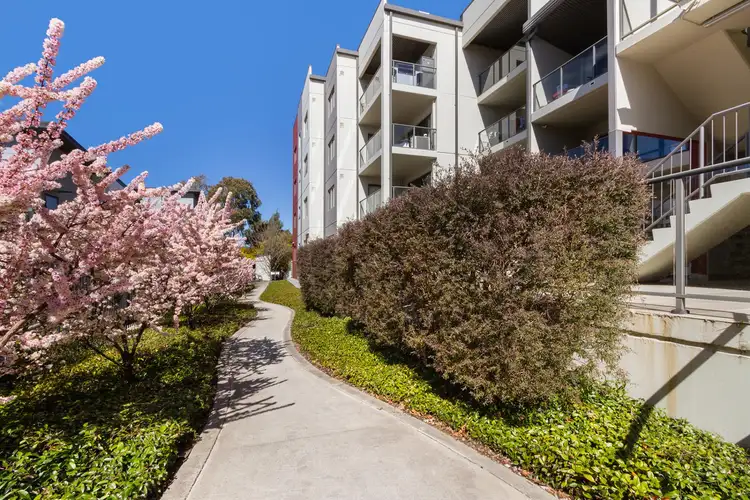 Sixth view of Homely apartment listing, 113/1 Braybrooke Street, Bruce ACT 2617