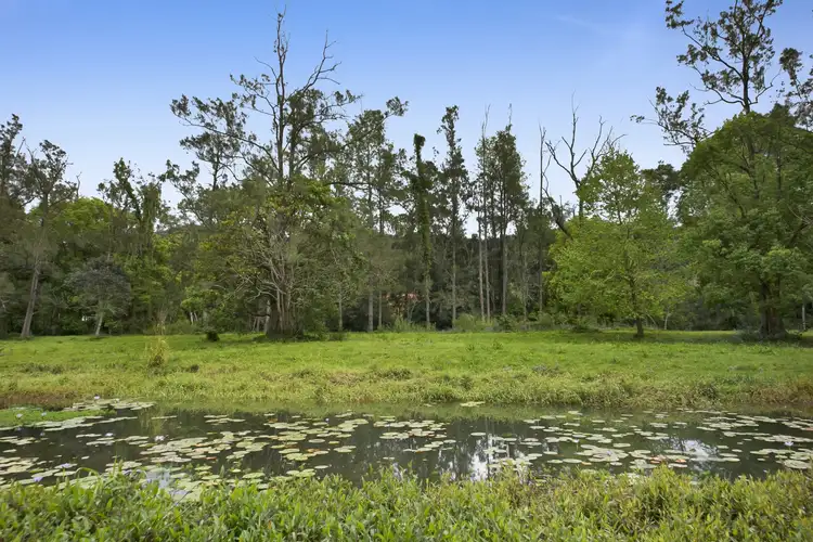 Fifth view of Homely rural property listing, 1012 Tallebudgera Creek Road, Tallebudgera Valley QLD 4228