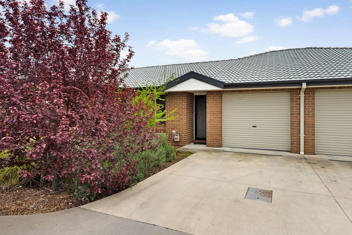 Main view of Homely townhouse listing, 18/141 Macfarlane Burnet Avenue, Macgregor ACT 2615