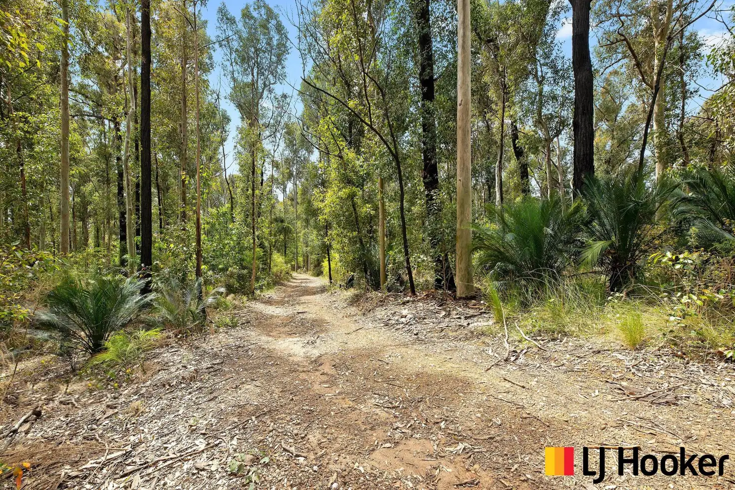 Main view of Homely land listing, 771 The Ridge Road, Lilli Pilli NSW 2536