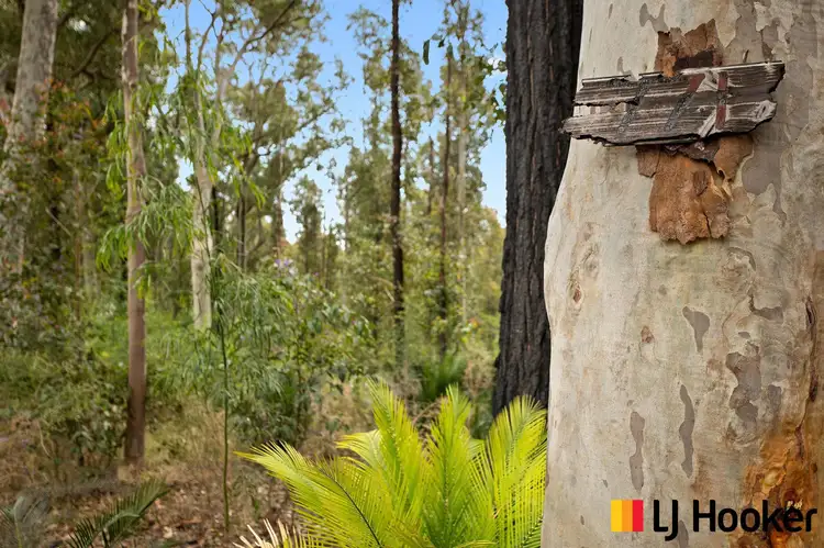 Second view of Homely land listing, 771 The Ridge Road, Lilli Pilli NSW 2536