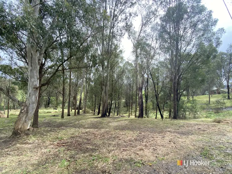 Main view of Homely land listing, Lots 2 & 3 Gillespie Street, Cobargo NSW 2550