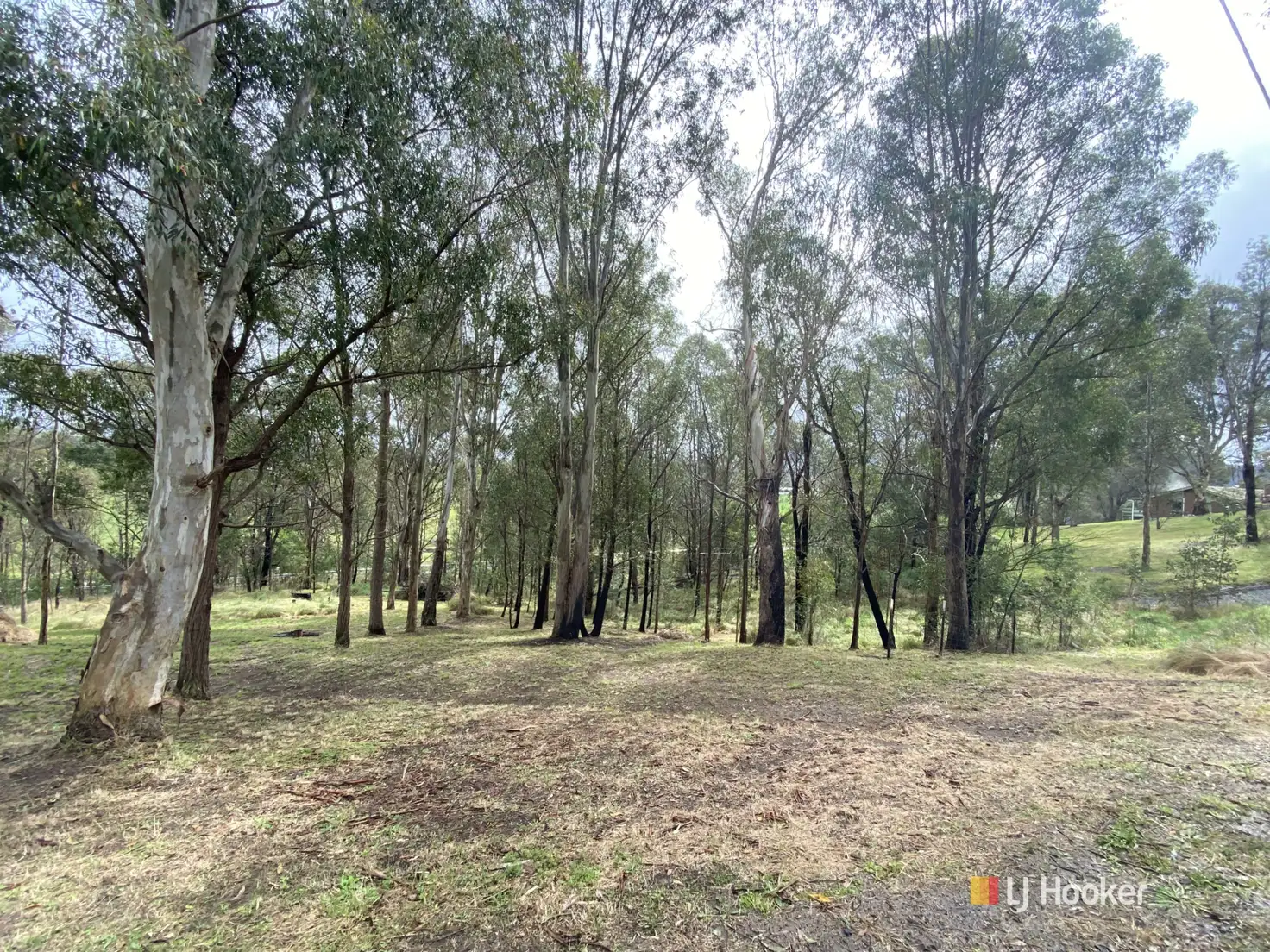 Main view of Homely land listing, Lots 2 & 3 Gillespie Street, Cobargo NSW 2550