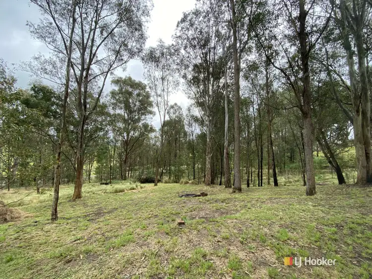 Fourth view of Homely land listing, Lots 2 & 3 Gillespie Street, Cobargo NSW 2550