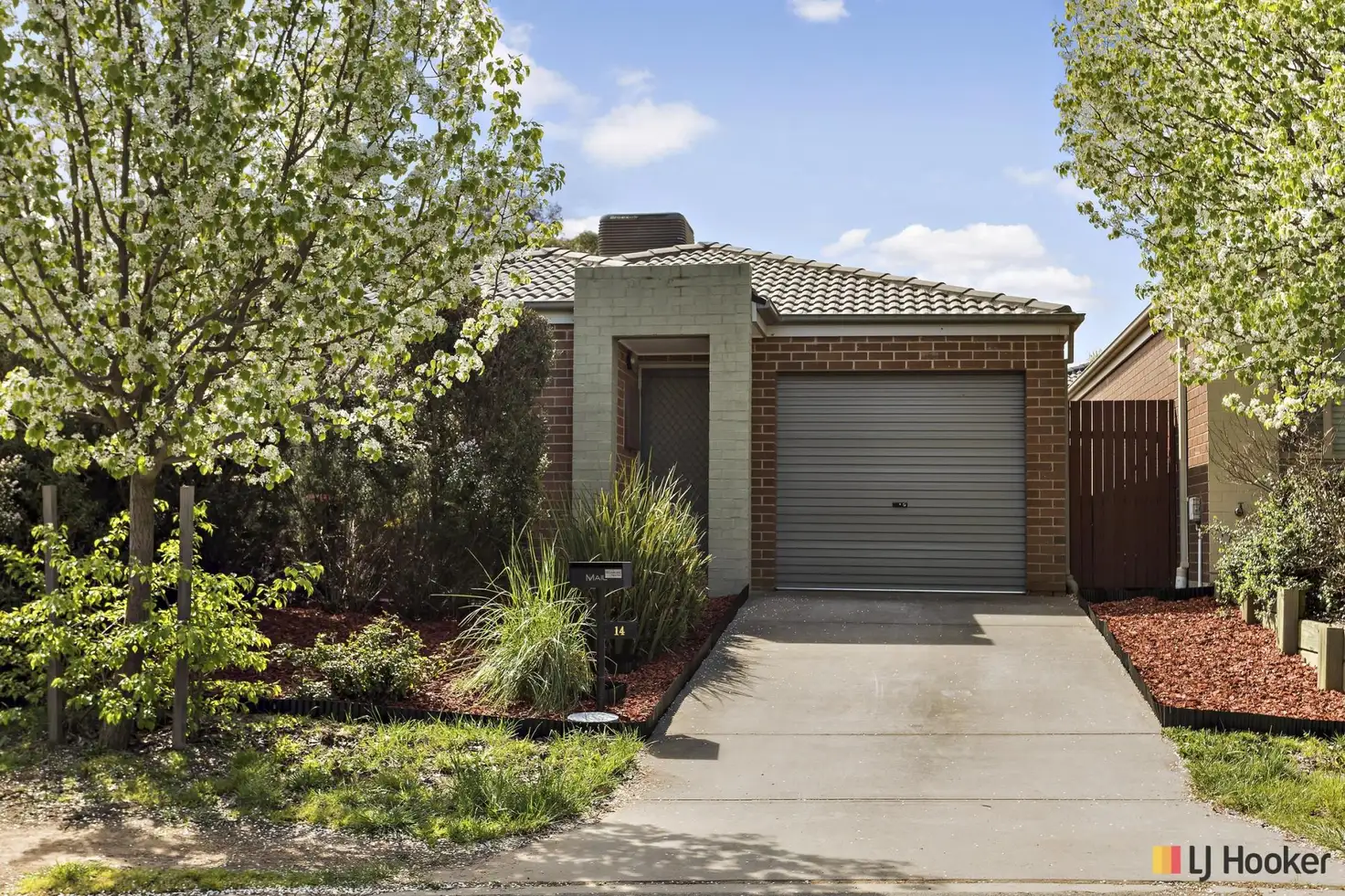 Main view of Homely house listing, 14 Phillipa Weeks Street, Watson ACT 2602