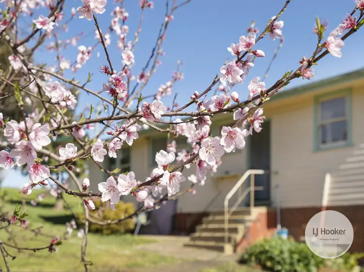 Fourth view of Homely house listing, 2300 Lyell Highway, Hayes TAS 7140