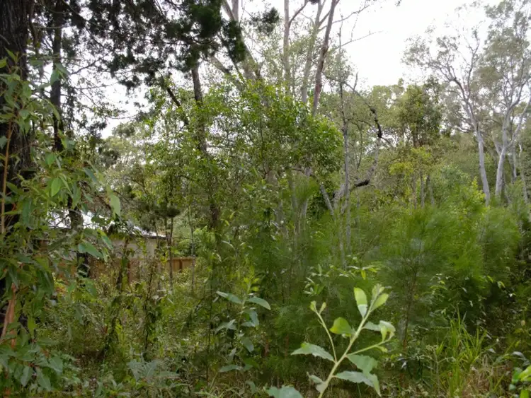 Fifth view of Homely land listing, 10 Dinjerra Street, Macleay Island QLD 4184