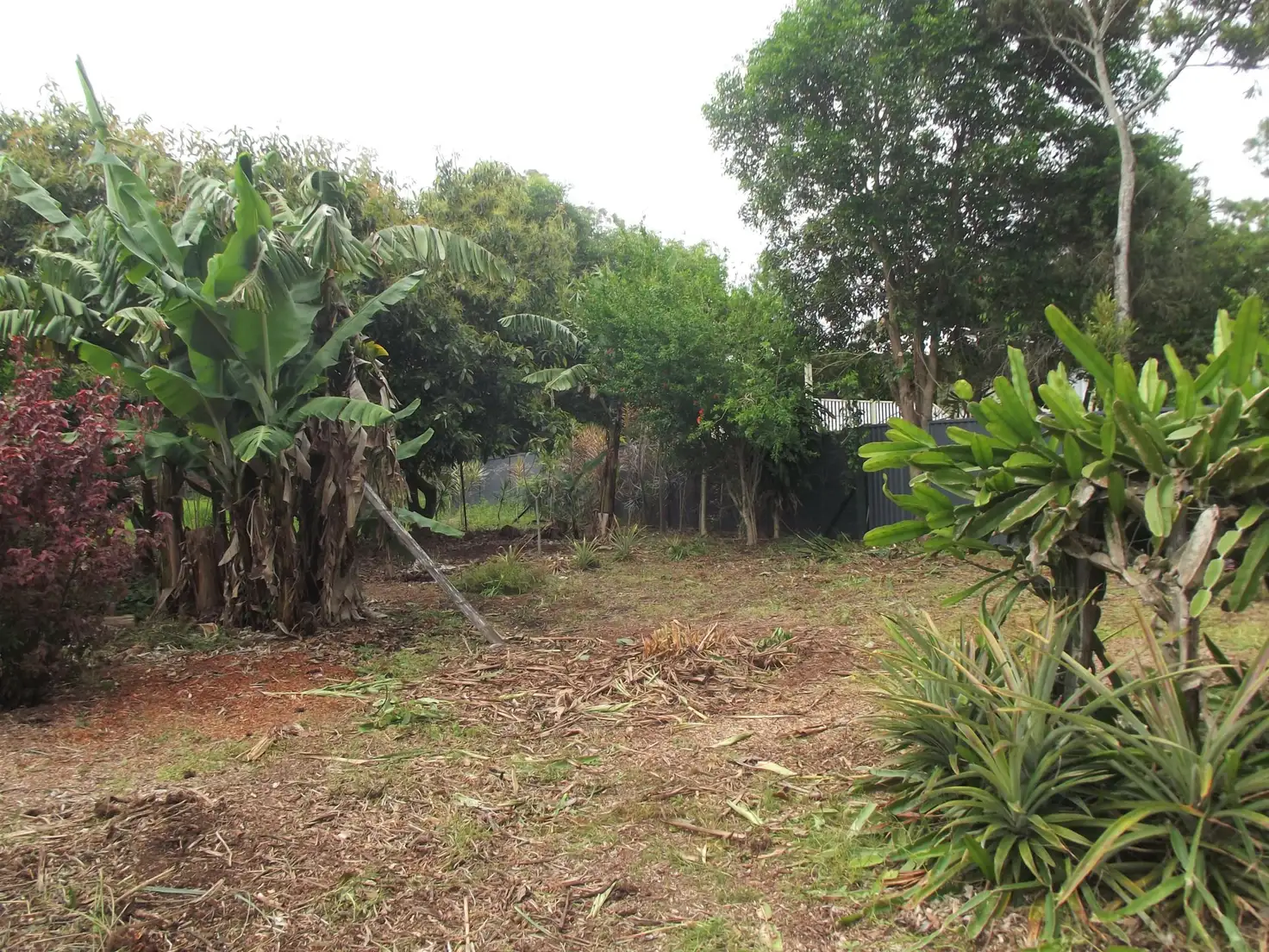 Main view of Homely land listing, 4 Lake Street, Macleay Island QLD 4184