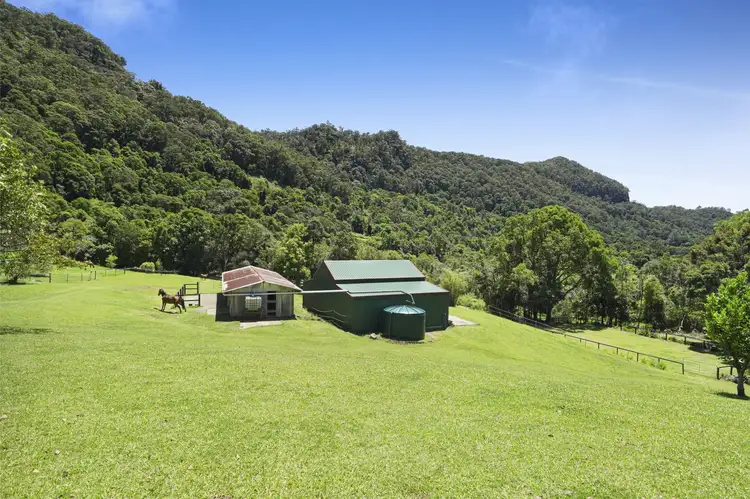 Fifth view of Homely rural property listing, 418 Petsch Creek Road, Tallebudgera Valley QLD 4228