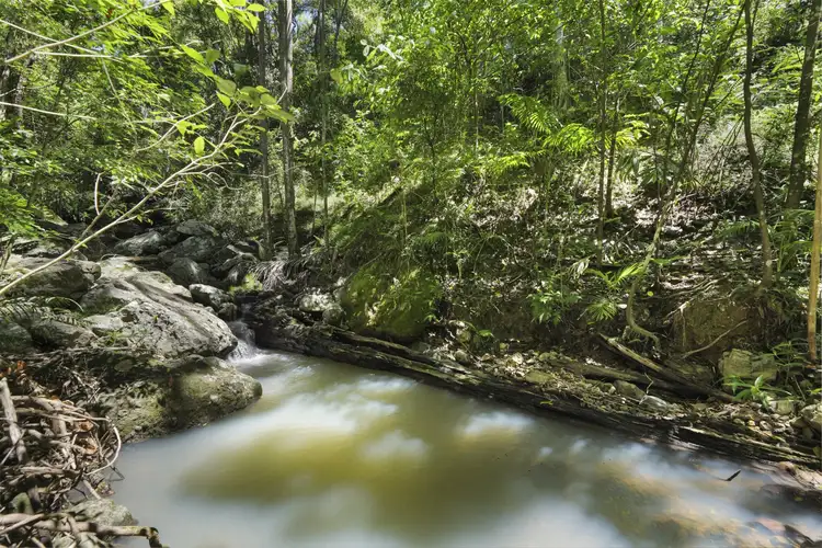 Sixth view of Homely rural property listing, 418 Petsch Creek Road, Tallebudgera Valley QLD 4228