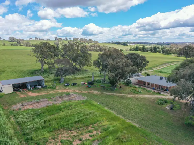 39 Malvicinos Road, Young NSW 2594