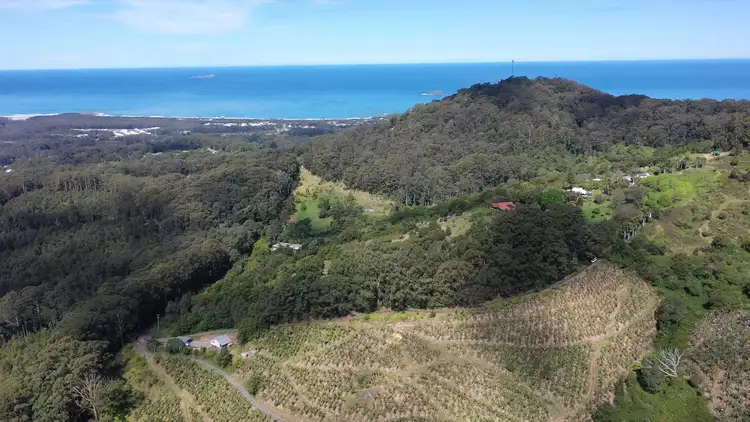 Second view of Homely rural property listing, 321 Gaudrons Road, Sapphire Beach NSW 2450