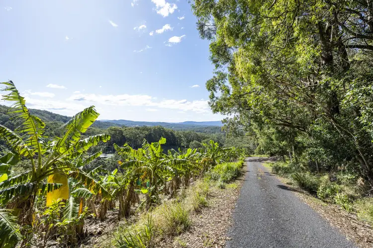 Sixth view of Homely rural property listing, 321 Gaudrons Road, Sapphire Beach NSW 2450