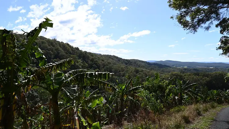 Seventh view of Homely rural property listing, 321 Gaudrons Road, Sapphire Beach NSW 2450