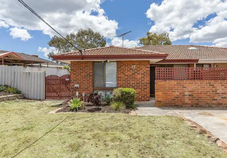 Main view of Homely semi-detached listing, 17 Tremont Place, Craigie WA 6025