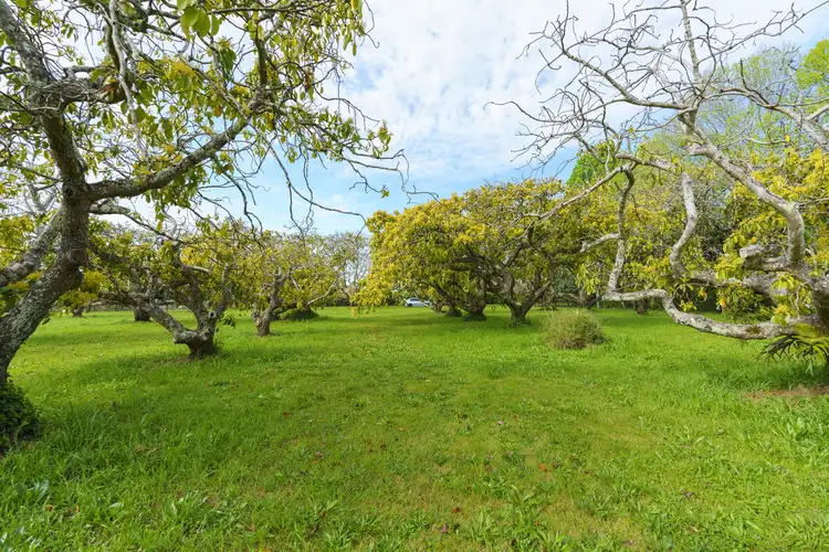 Seventh view of Homely land listing, 570-576 Main Western Road, Tamborine Mountain QLD 4272