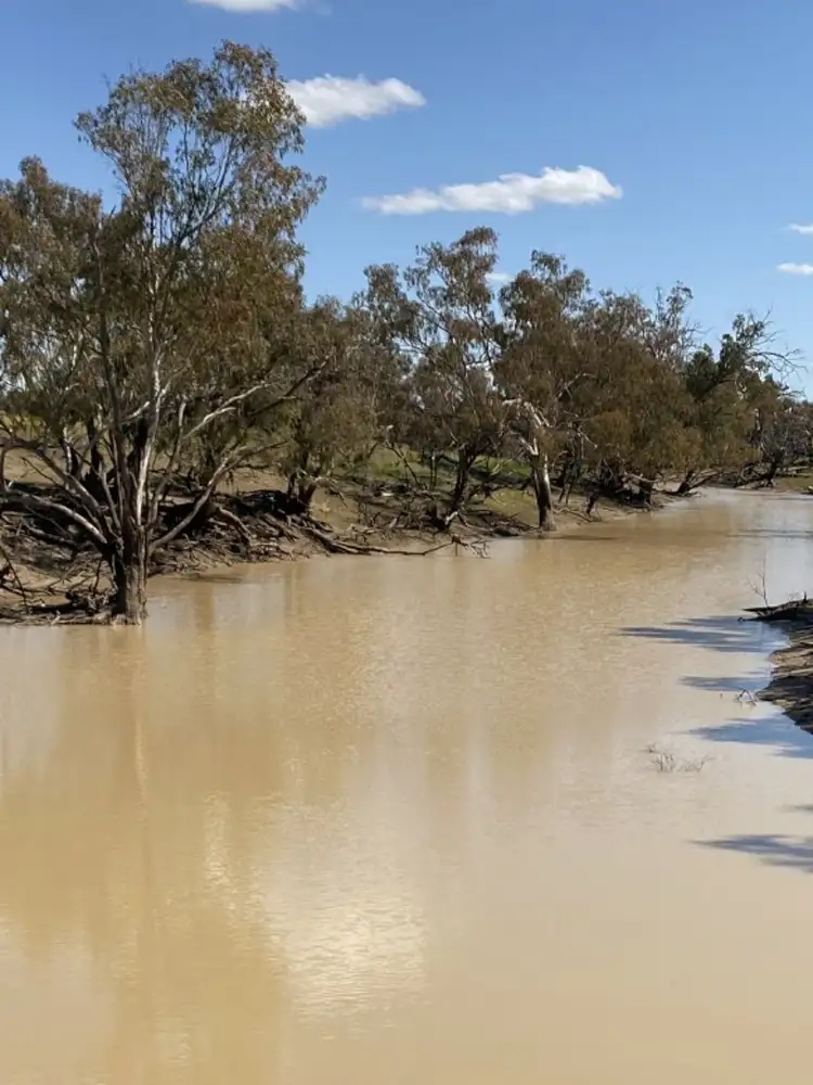 Fourth view of Homely rural property listing, 1195 Mercadool Road, Walgett NSW 2832