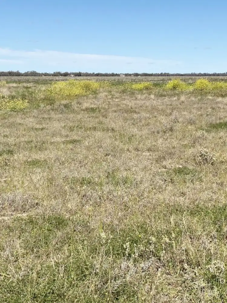 Fifth view of Homely rural property listing, 1195 Mercadool Road, Walgett NSW 2832