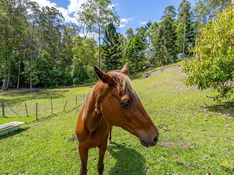 Fourth view of Homely house listing, 15 Thomas Duncan Court, Worongary QLD 4213