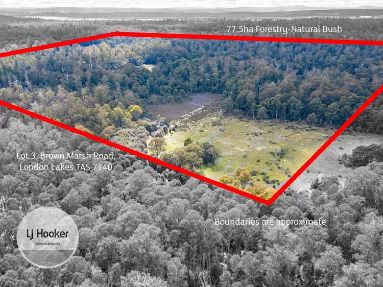 Main view of Homely land listing, Lot 3 Brown Marsh Road, London Lakes TAS 7140