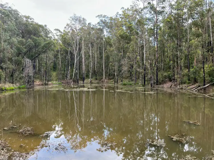 Main view of Homely rural property listing, 83b Hickeys Creek Road, Millbank NSW 2440