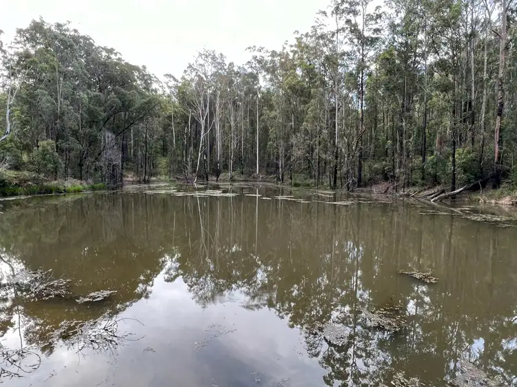 Second view of Homely rural property listing, 83b Hickeys Creek Road, Millbank NSW 2440