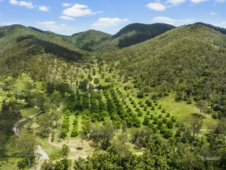 Sixth view of Homely rural property listing, 344 Cressbrook Creek Road, Biarra QLD 4313