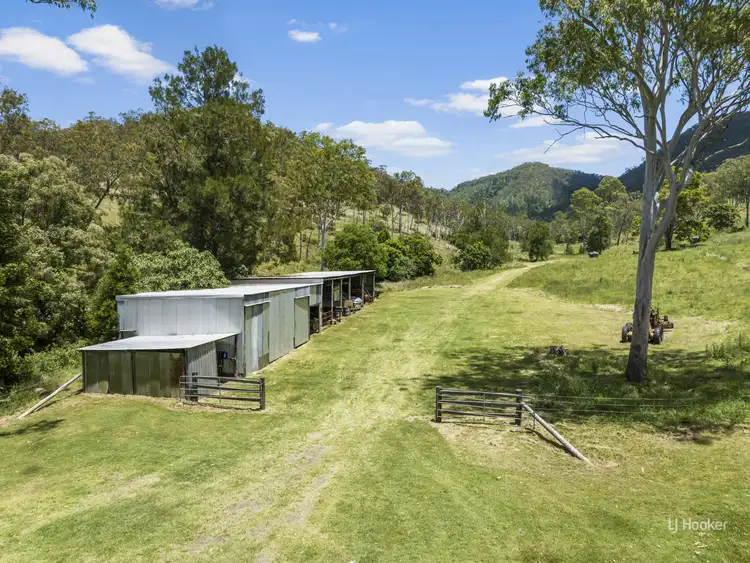 Seventh view of Homely rural property listing, 344 Cressbrook Creek Road, Biarra QLD 4313