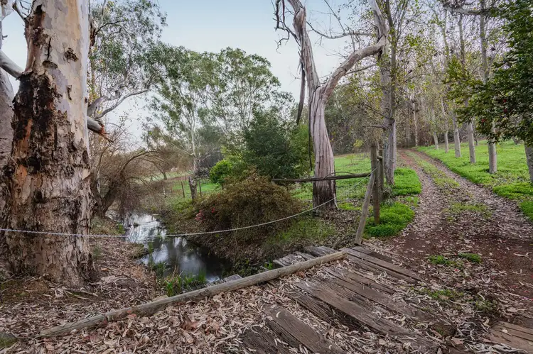 Main view of Homely house listing, 104 Forrest Road, Pickering Brook WA 6076