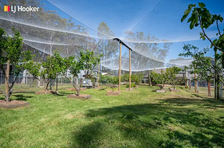 Main view of Homely rural property listing, 47 Watt Road, Falls Creek NSW 2540