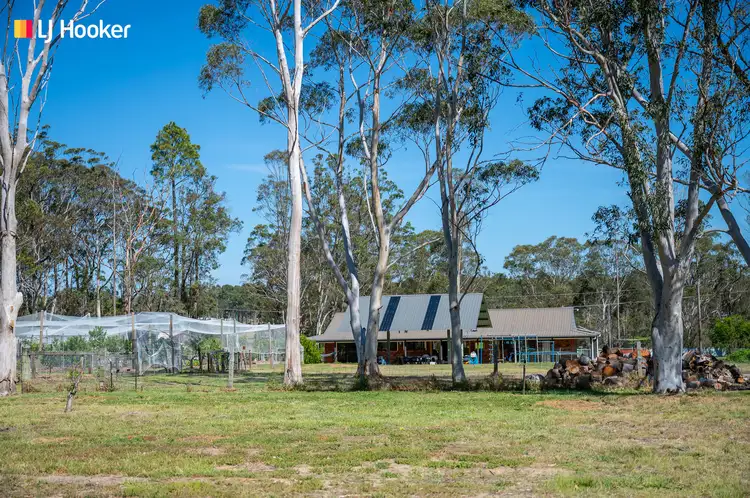 Second view of Homely rural property listing, 47 Watt Road, Falls Creek NSW 2540