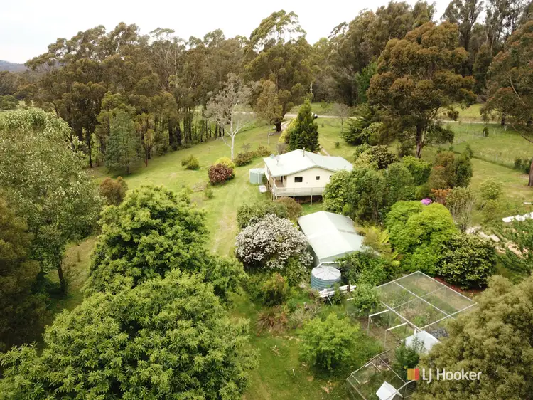 4286 Mount Darragh Road, Wyndham NSW 2550