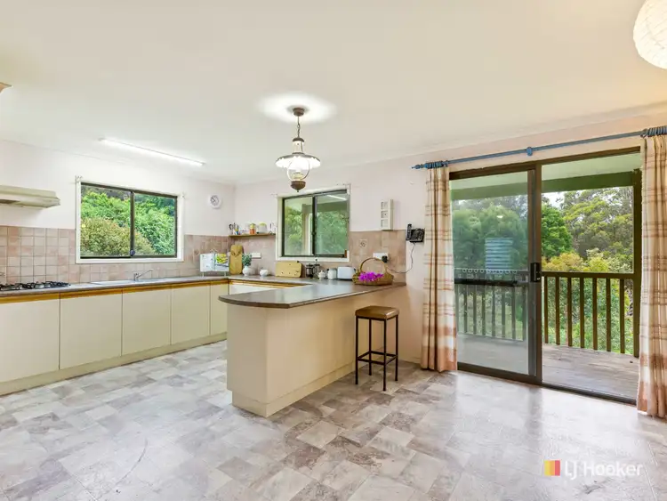 Third view of Homely house listing, 4286 Mount Darragh Road, Wyndham NSW 2550