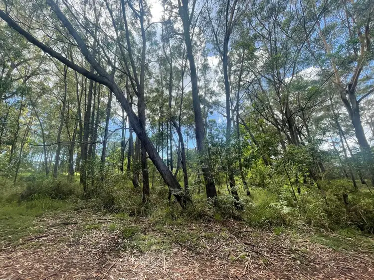 Second view of Homely land listing, 14 Lawson Street, Russell Island QLD 4184