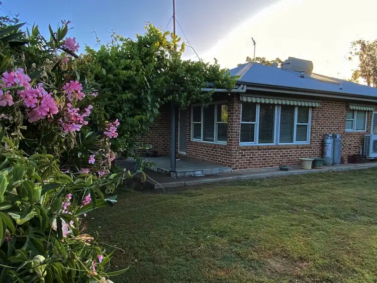 Fifth view of Homely rural property listing, Coraki/3633 Bogan Road, Peak Hill NSW 2869