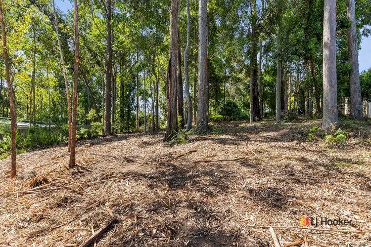 Main view of Homely land listing, 33 Litchfield Crescent, Long Beach NSW 2536