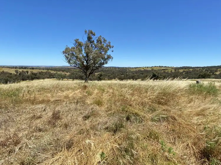 Main view of Homely land listing, 223 Farnham Road, Stuart Town NSW 2820