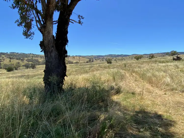 Second view of Homely land listing, 223 Farnham Road, Stuart Town NSW 2820