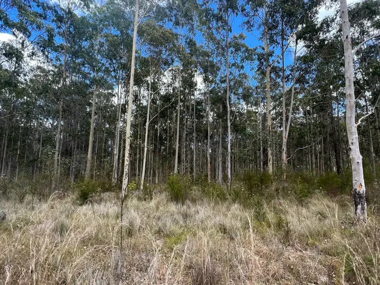 Sixth view of Homely rural property listing, Lot 11/Lot 11 John Lane Road, Yarravel NSW 2440