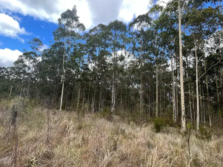 Seventh view of Homely rural property listing, Lot 11/Lot 11 John Lane Road, Yarravel NSW 2440