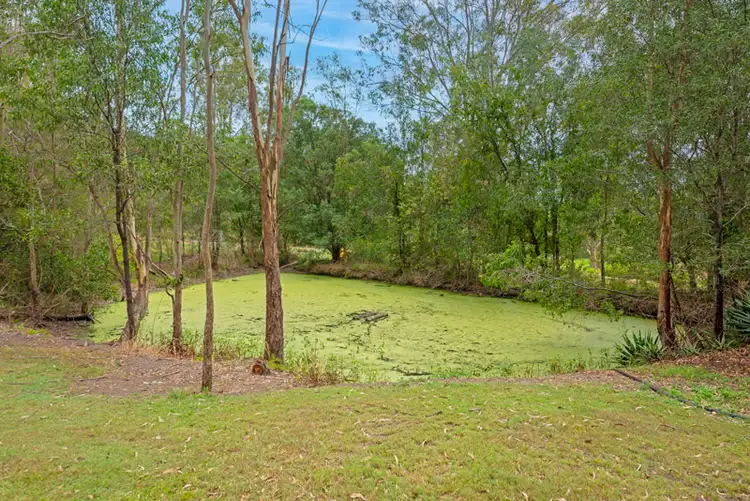 Fifth view of Homely rural property listing, 1534 Beaudesert Beenleigh Road, Tamborine QLD 4270