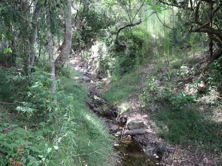 Fourth view of Homely rural property listing, Lots 1773 Rettkes Road, Swanfels QLD 4371