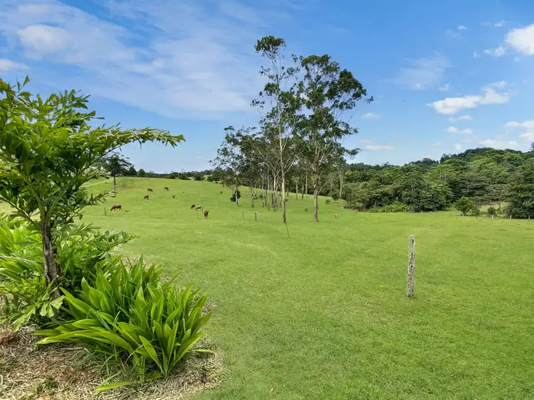 Fifth view of Homely house listing, 77 Clarkes Track, Jaggan QLD 4885