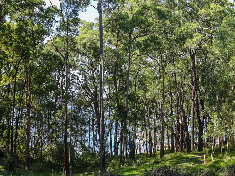 Fourth view of Homely land listing, 138 Cove Boulevard, North Arm Cove NSW 2324