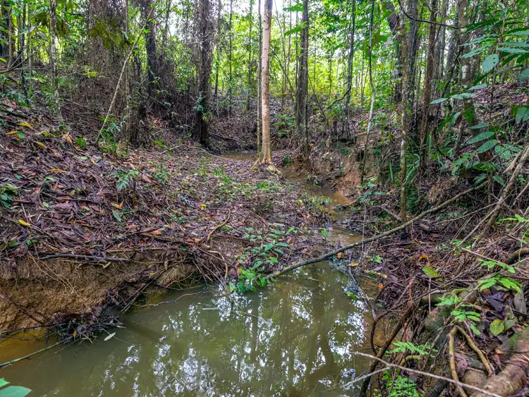 Sixth view of Homely house listing, 171 Highland Drive, Julatten QLD 4871