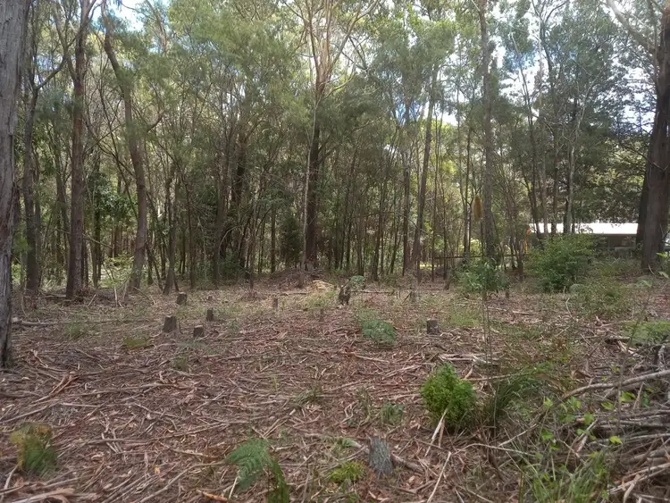 12 CATAMARAN, Russell Island QLD 4184