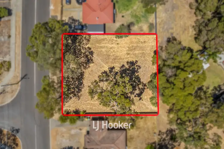 229 Atkinson Street North