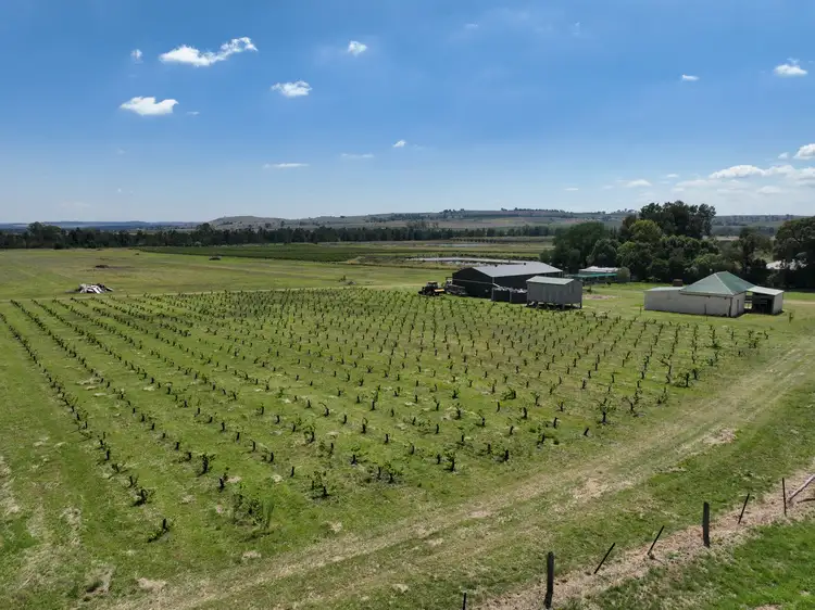 Third view of Homely rural property listing, 321 Milbrodale Road, Broke NSW 2330